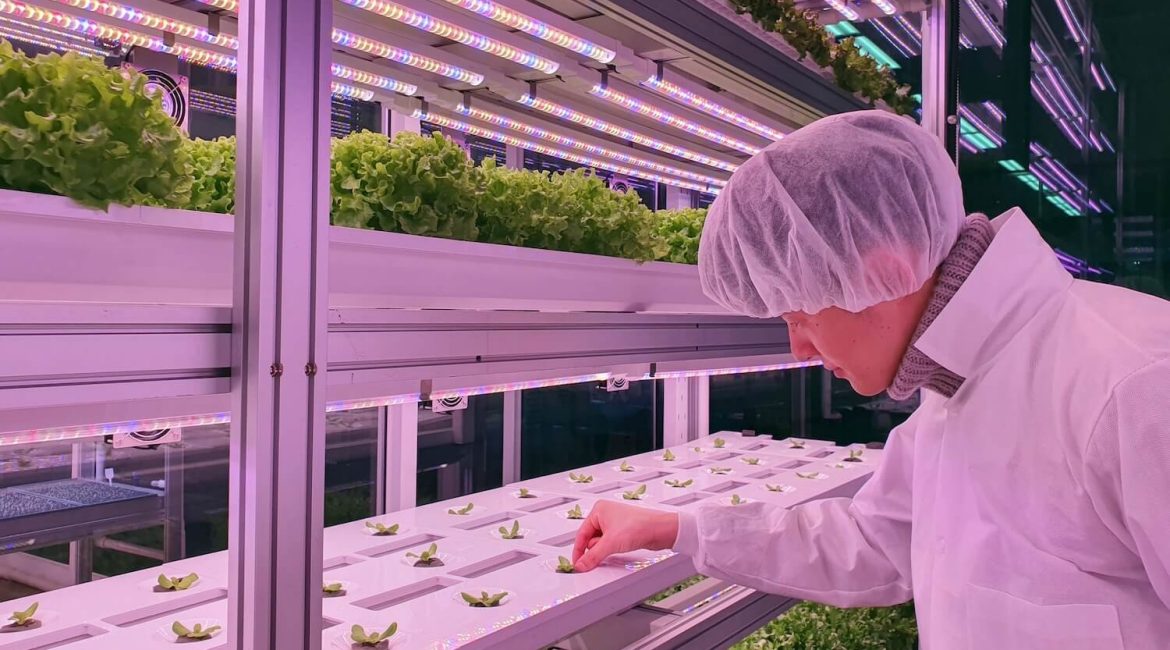 Can Ag-Tech Companie Relocate Vertical Farms Without Losing Their Harvest?